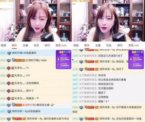 东北主播爆料视频下载,热门爆料视频幕后下载攻略