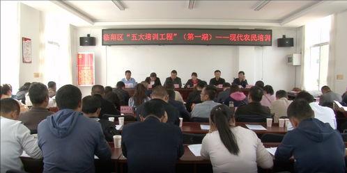 临翔区圈内新闻最新爆料,揭秘最新爆料背后的真相与影响  第1张